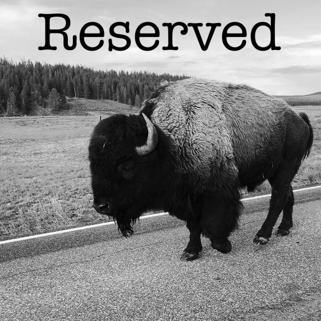 Reserved Listing for eplum625